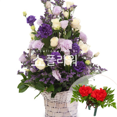 보라혼합바구니