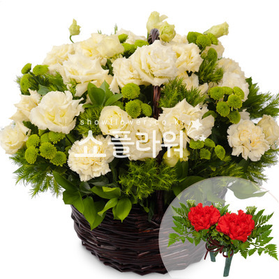 아이보리색리시안바구니
