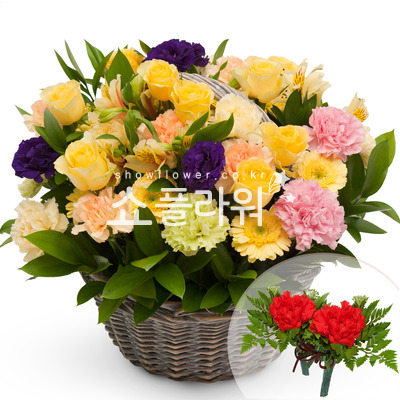 오렌지믹스(코사지별도)