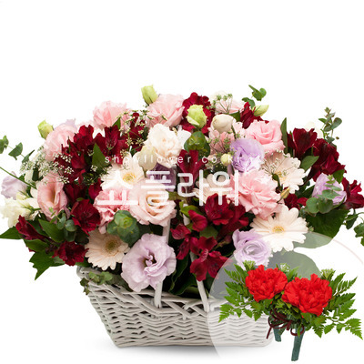 레드믹스(코사지별도)