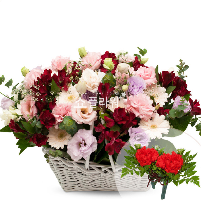 상세이미지