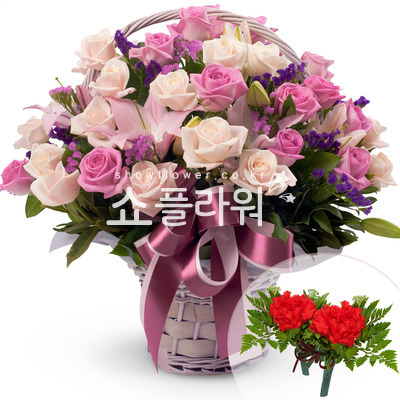 감사를담아(코사지별도)