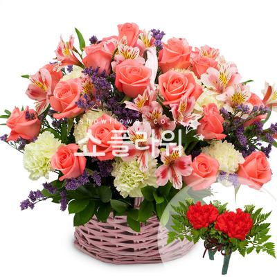 사피아혼합바구니(코사지별도)