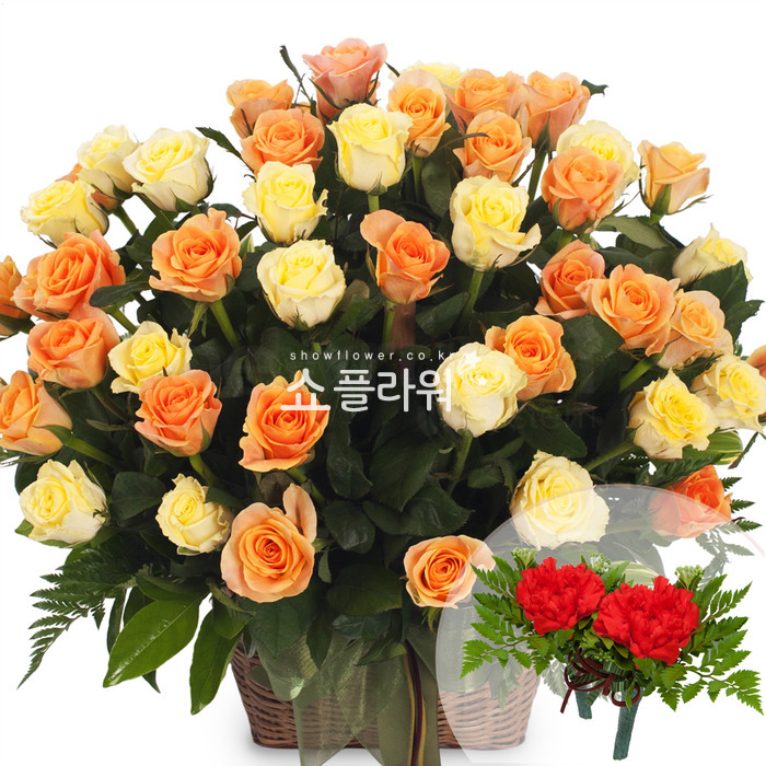 상세이미지