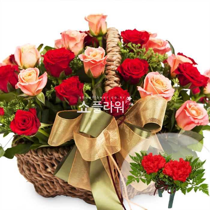 상세이미지