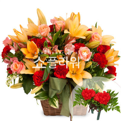 어버이사랑2호(코사지별도)