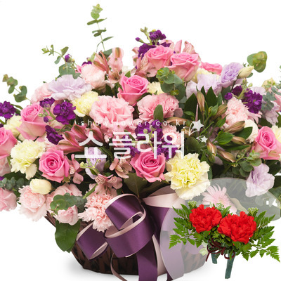감사합니다(코사지별도)