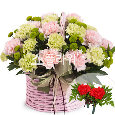 건강하세요!!(코사지별도)