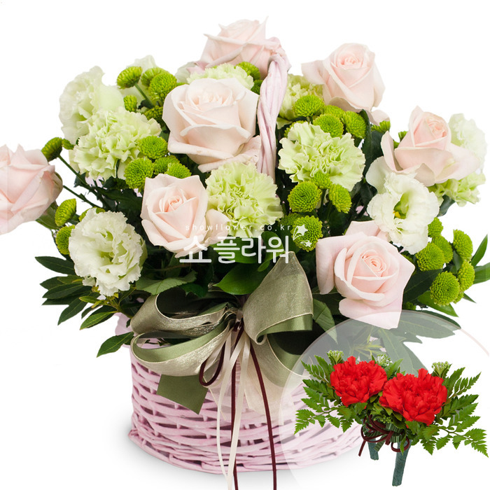 상세이미지