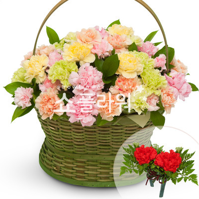 정말 감사합니다(코사지별도)