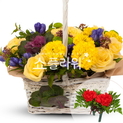 노랑혼합꽃바구니(코사지별도)