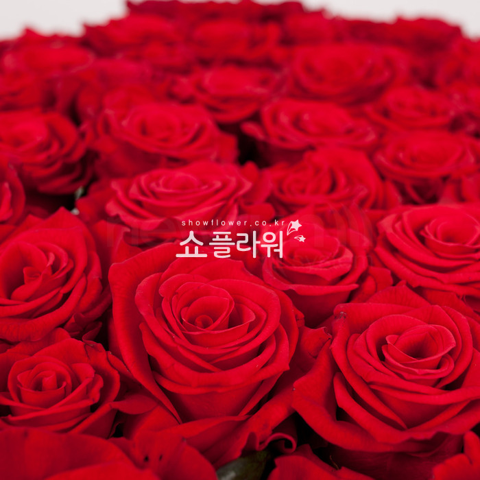상세이미지