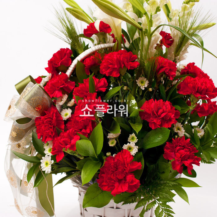 상세이미지