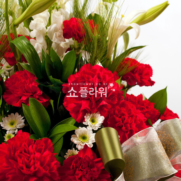 상세이미지