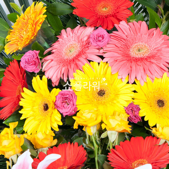 상세이미지