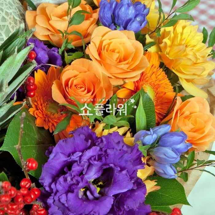 상세이미지