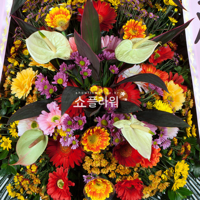 상세이미지