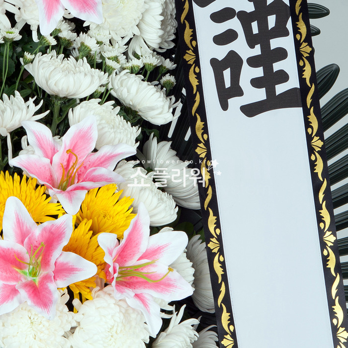 상세이미지