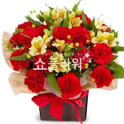 레드톤카네이션바구니