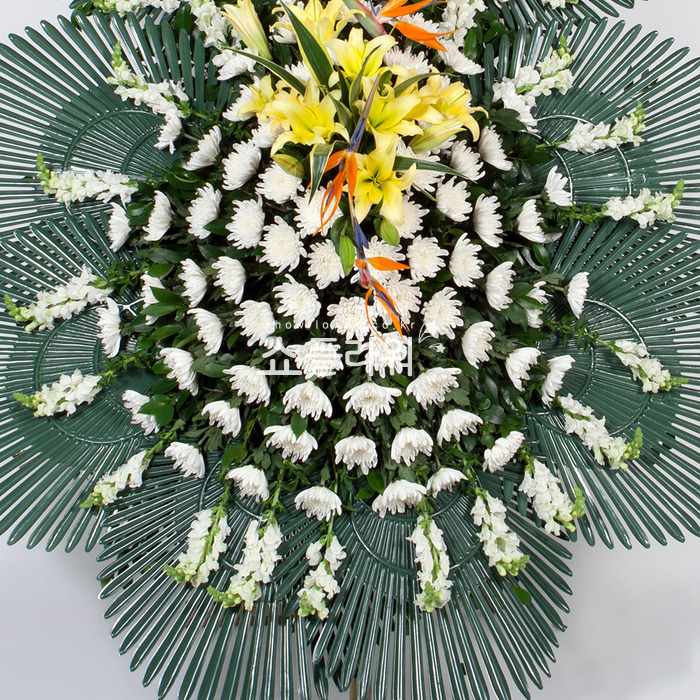 상세이미지