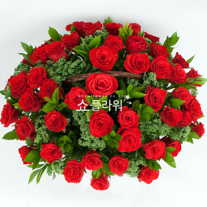 상세이미지