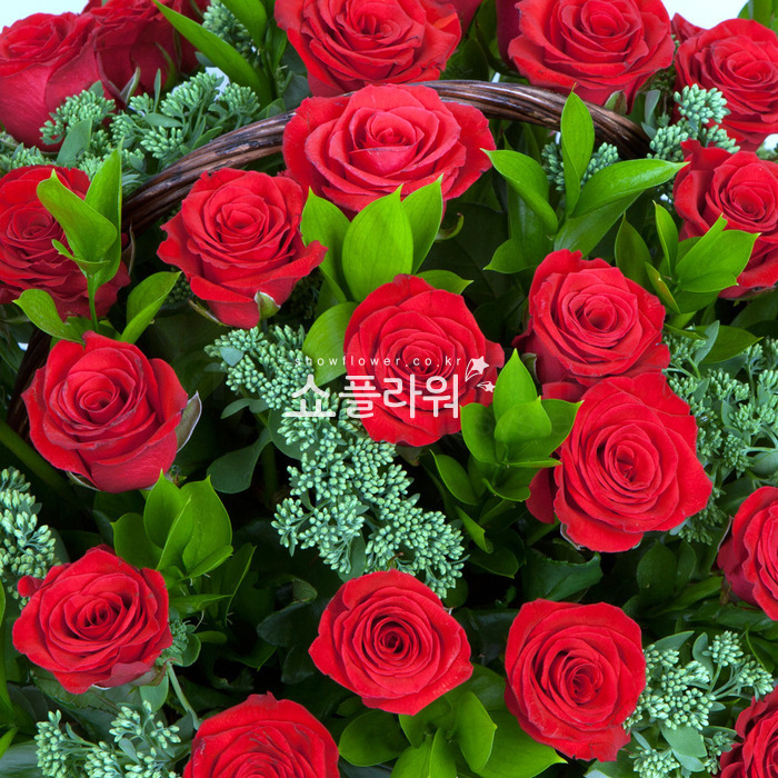 상세이미지
