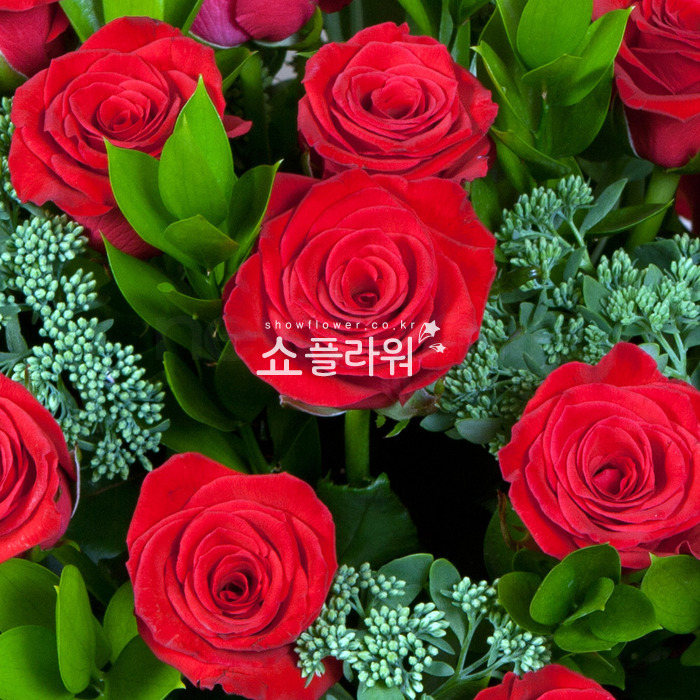 상세이미지