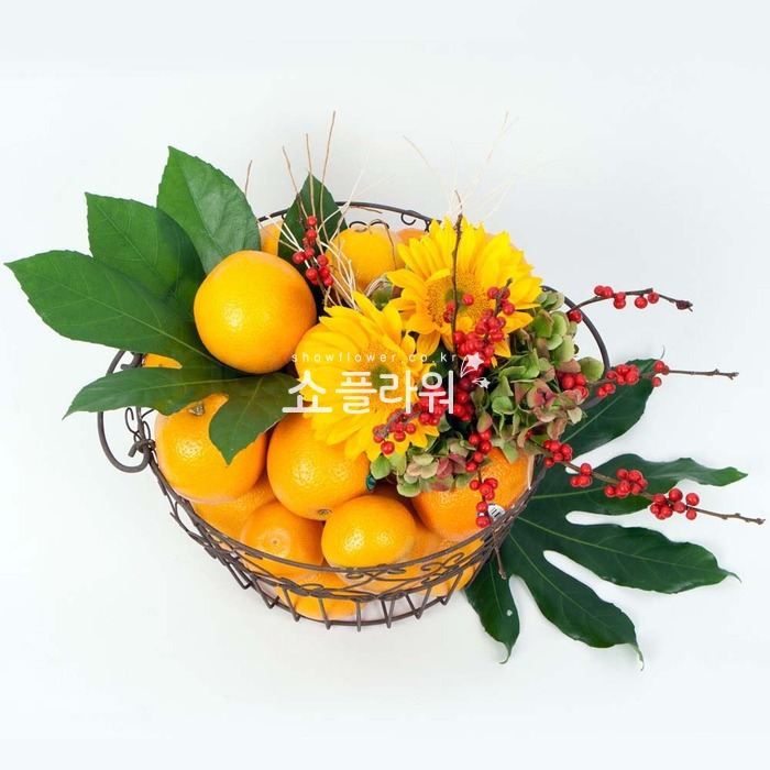 상세이미지