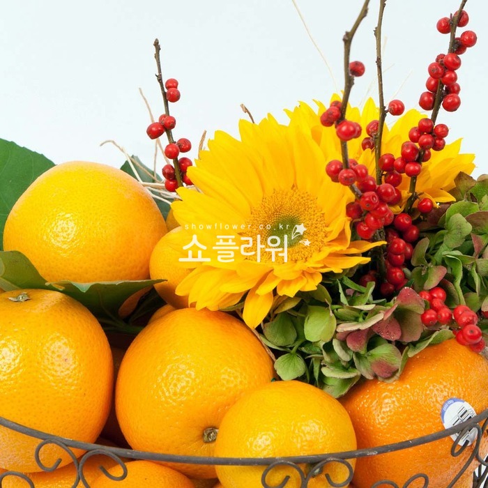 상세이미지