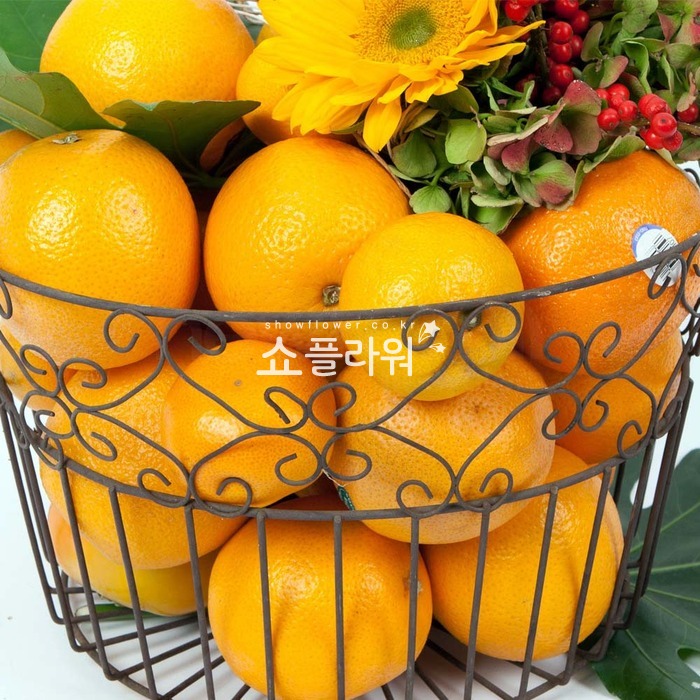 상세이미지