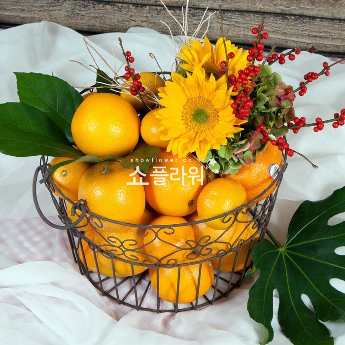 상세이미지