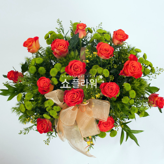 상세이미지