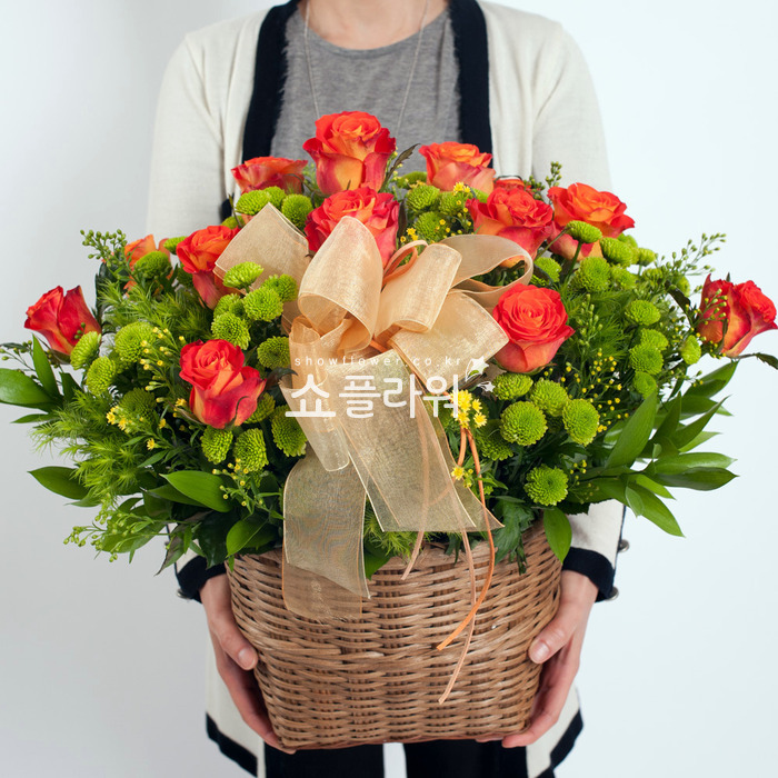 상세이미지
