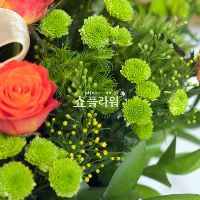 상세이미지