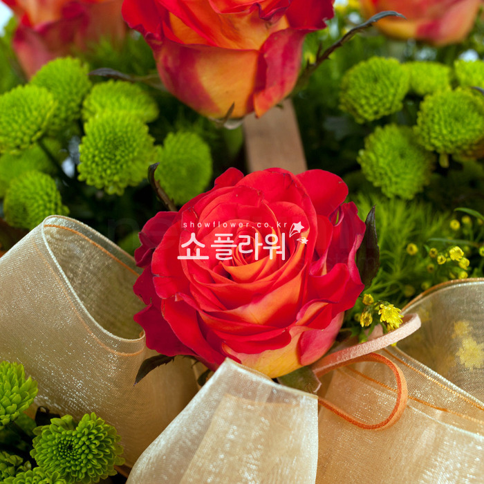 상세이미지