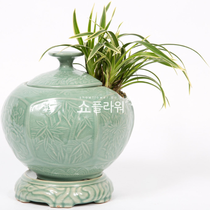 상세이미지