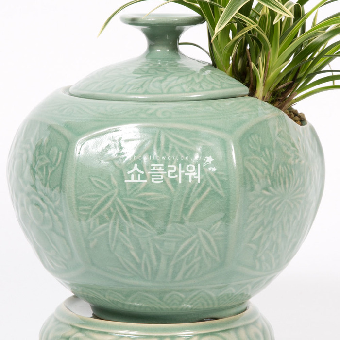 상세이미지