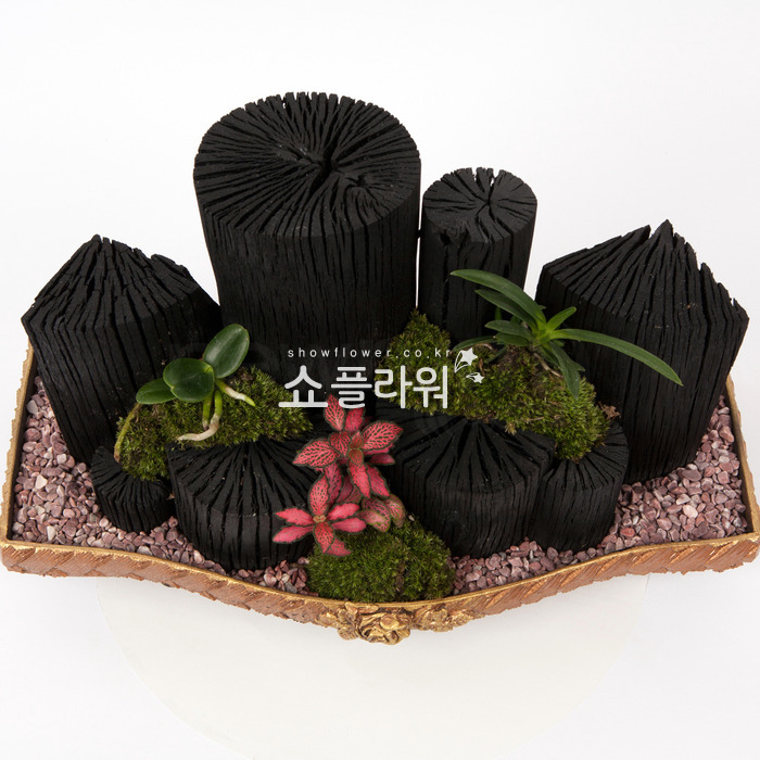 상세이미지