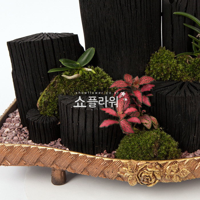 상세이미지