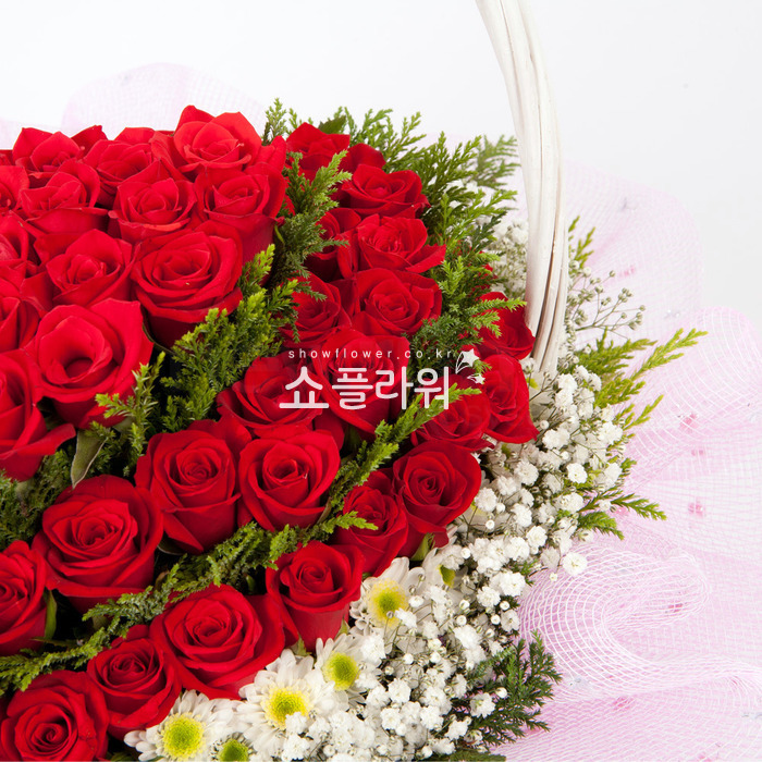 상세이미지