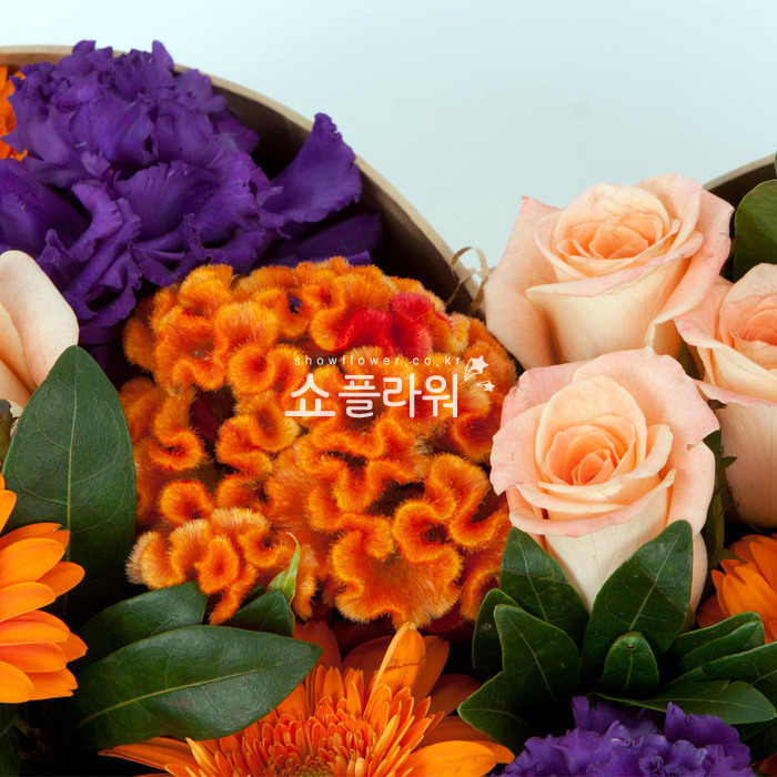 상세이미지