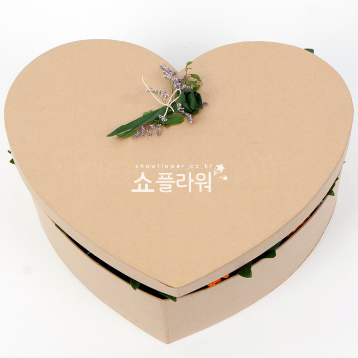 상세이미지