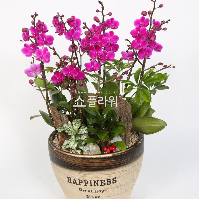상세이미지