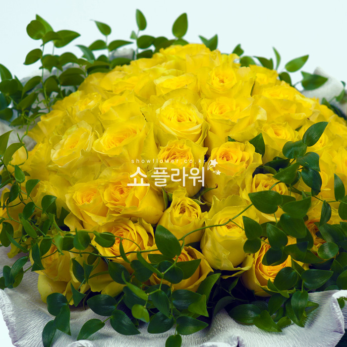 상세이미지