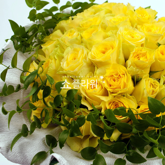 상세이미지