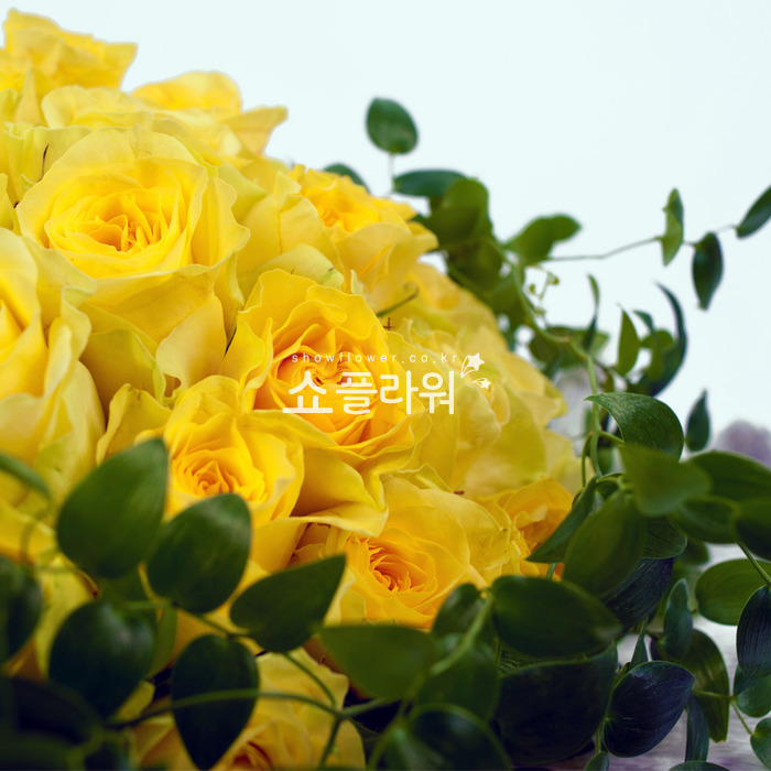상세이미지