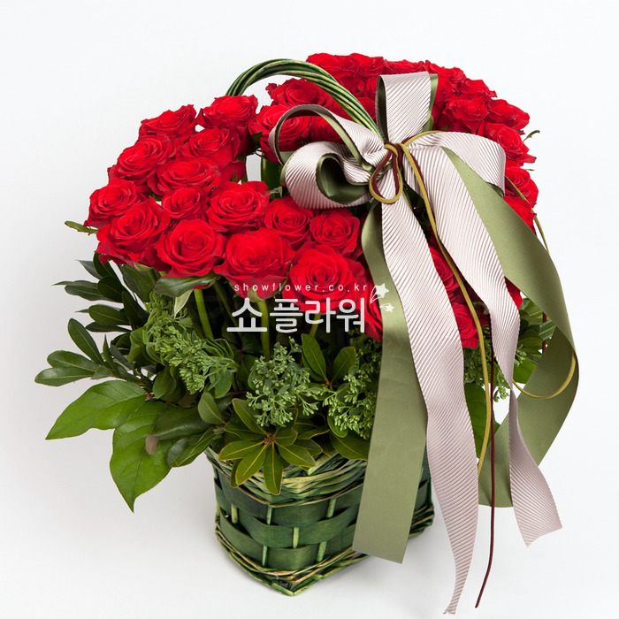 상세이미지