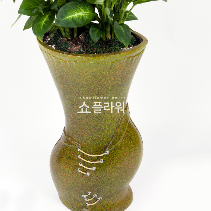 상세이미지
