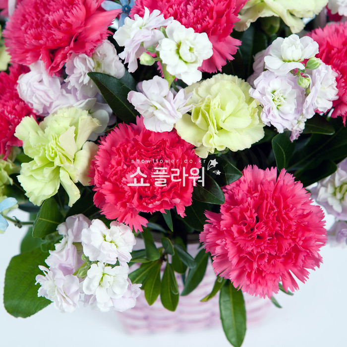 상세이미지