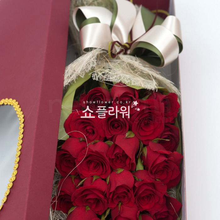 상세이미지